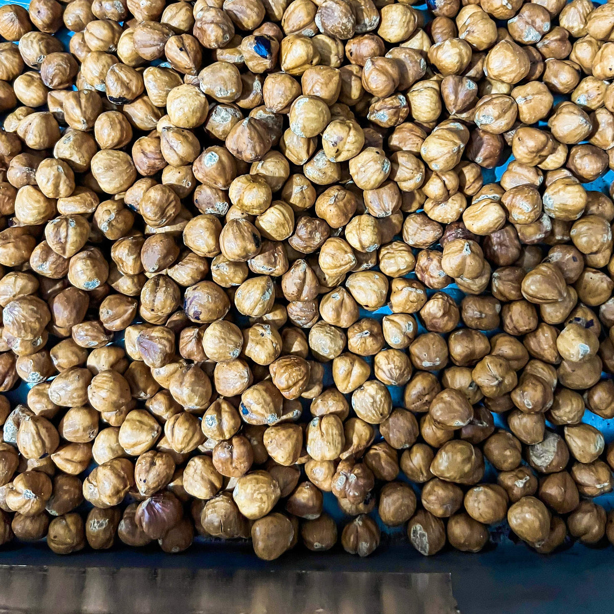 Chocolate Subscription - Monthly-McGuire Chocolate Canada-Chocolate Bars,Dark chocolate,Extra dark chocolate,Milk chocolate,Subscription,White Chocolate