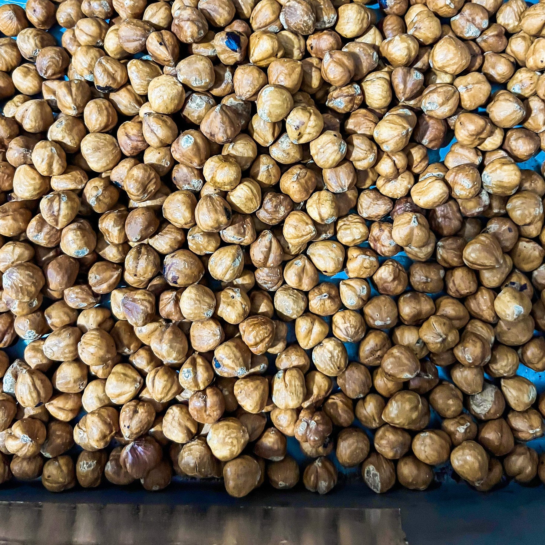 Chocolate Subscription - Monthly-McGuire Chocolate Canada-Chocolate Bars,Dark chocolate,Extra dark chocolate,Milk chocolate,Subscription,White Chocolate