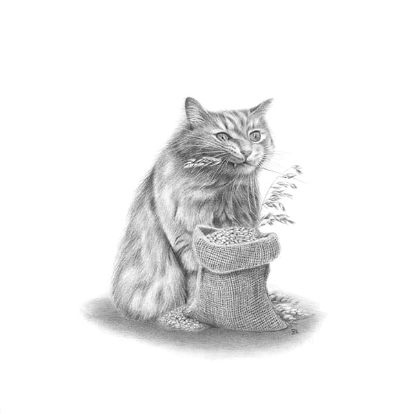 Hank Prints-McGuire Chocolate Canada-Hank,Merch,Print