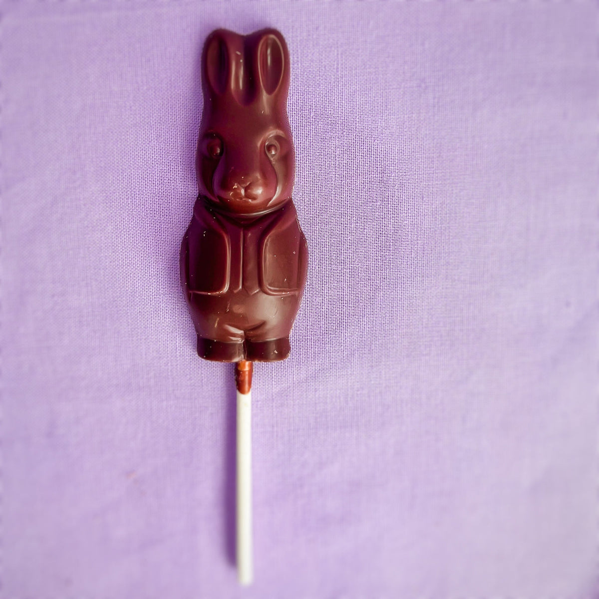 Mr. Bunny Chocolate Lollipop