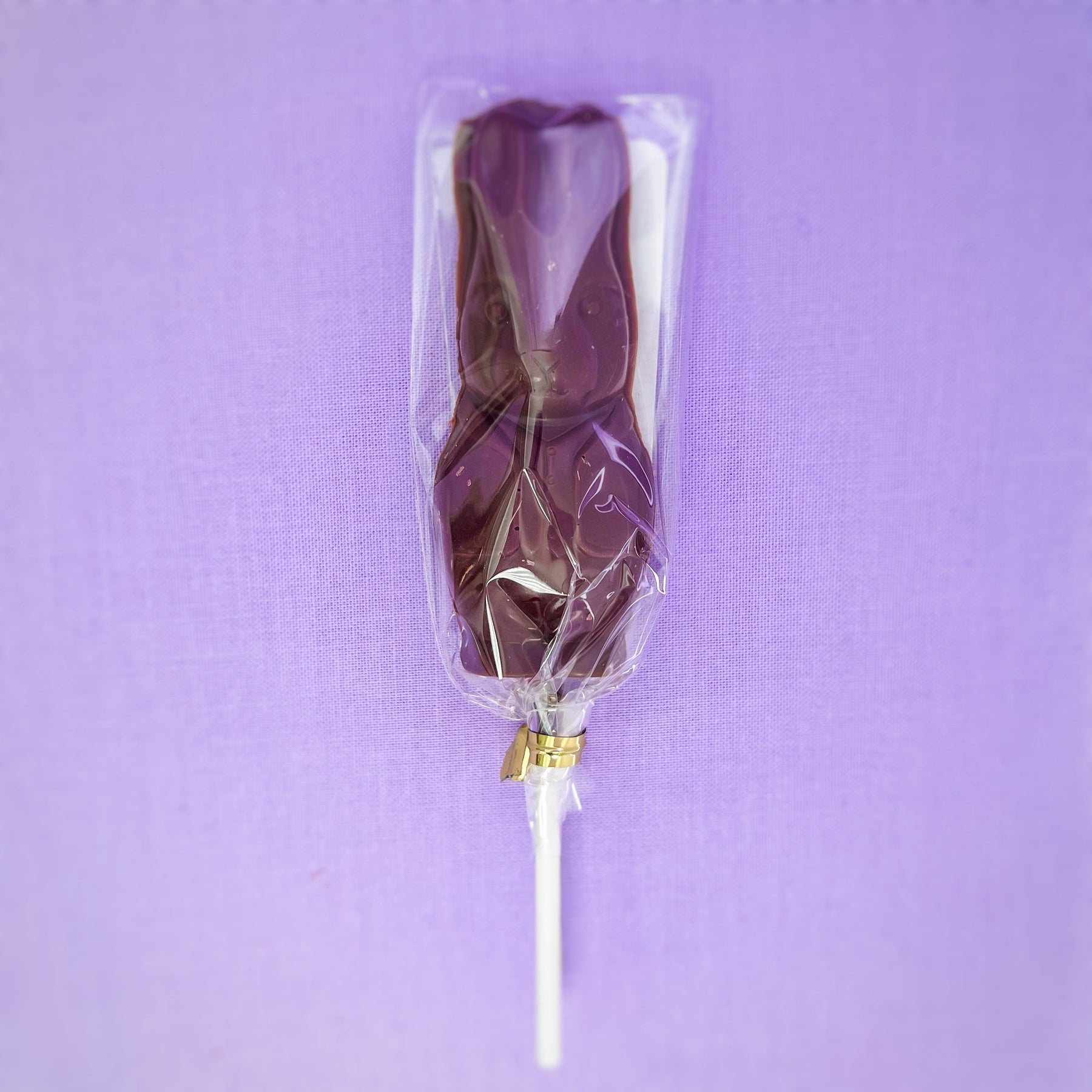 Mr. Bunny Chocolate Lollipop